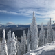Illustration for article titled 2019-2020 Ski Season in Review